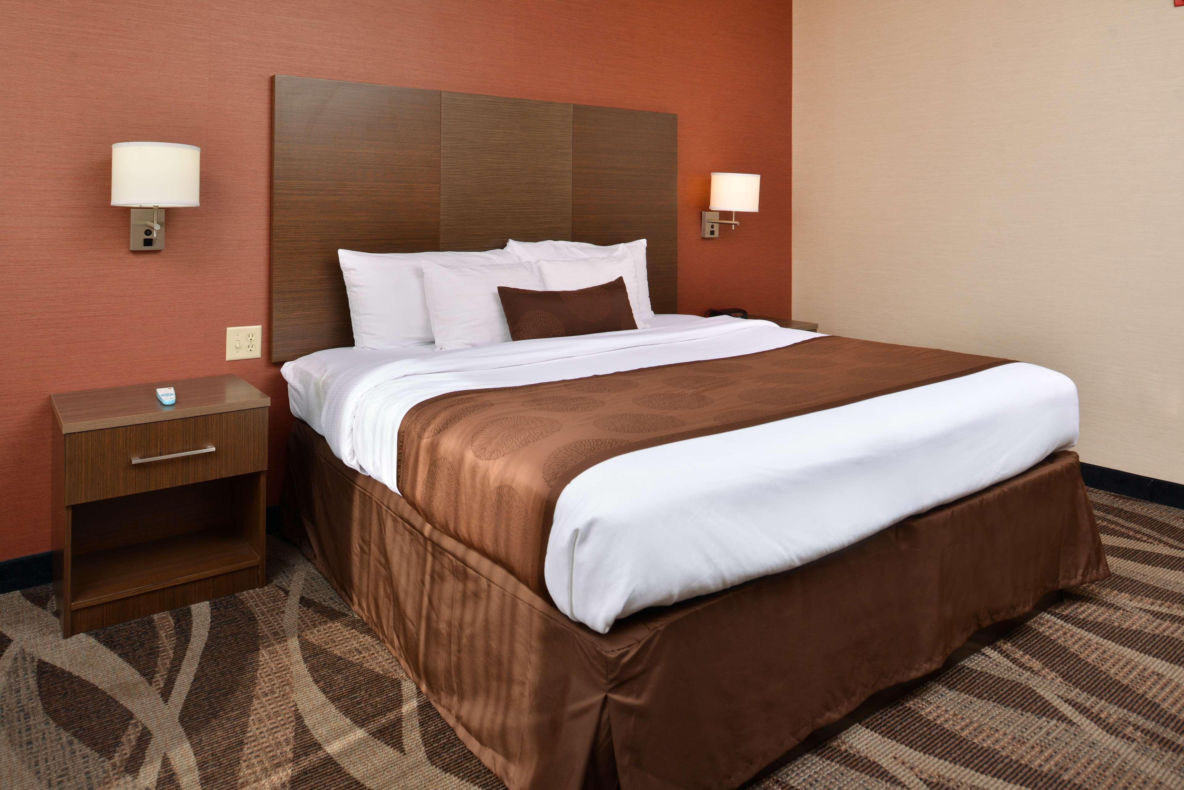 Best Western Plus University Inn Olean Buitenkant foto